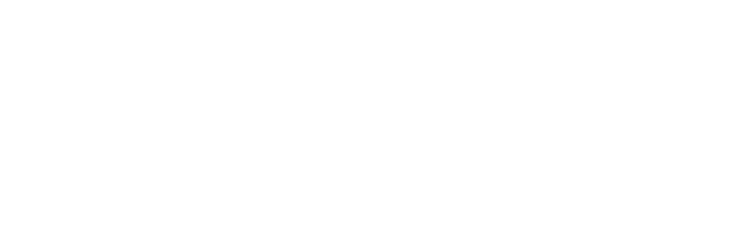 Premier Class Shipping And Security Company